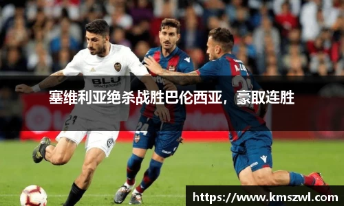 熊猫体育平台